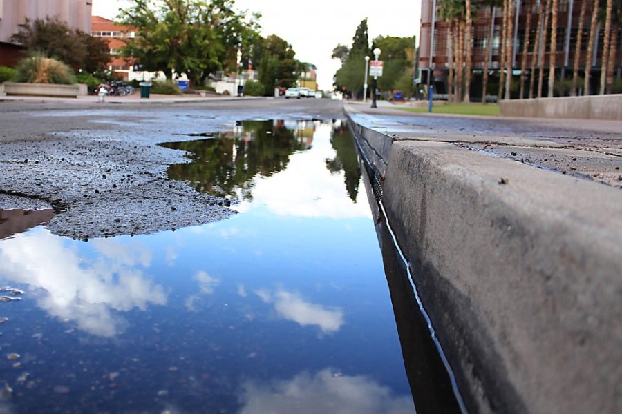 Photo Courtesy of Kyle Mittan / Daily Wildcat
Water pools on the side of Park Avenue after a rainstorm on Monday. UA facilities managment has a system to divert and collect fallen rainwater from streets near campus. 