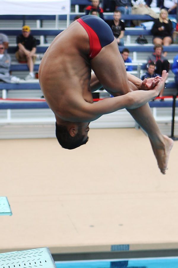 Colin Prenger / Daily Wildcat
Ben Grado at the Wildcat Dive Invite at the Hillenbrand Aquatic Center Saturday, Nov. 19. Grado took first in the finals on the last day. 