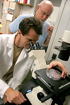 Graduate student Michael Badowski from the department of immunobiology displays a dish containing colonies with DNA that will be transfected into stem cells. UA labs are expected to successfully perform the world's first human cornea transplant from stem cells found in umbilical cord blood.