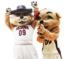 Michael Ignatov / Arizona Daily Wildcat

Arizona meets Stanford in an NCAA basketball game at McKale Center in Tucson, Ariz., Saturday, March 7, 2009. Arizona went on to win 101-87 in the last game of the regular season, snapping a four-game losing streak.