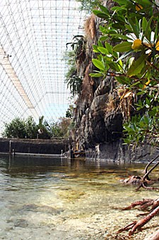 Who knew that Arizona would have an ocean? The University of Arizona Biosphere 2 has a mini-ocean and mimics the real thing, with palm trees, a white, sandy mini-beach, waves and cool temperatures.