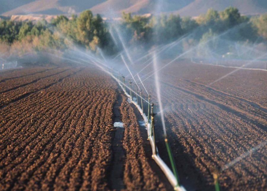 Watering+crops+with+overhead+sprinklers%2C+as+shown+on+this+farm+in+Yuma%2C+Arizona%2C+loses+much+of+the+water+to+evaporation.+Only+a+small+portion+of+the+land+in+Arizona+is+used+for+agriculture%2C+however+that+use+accounts+for+70-80+percent+of+the+states%3F+water+resources.+