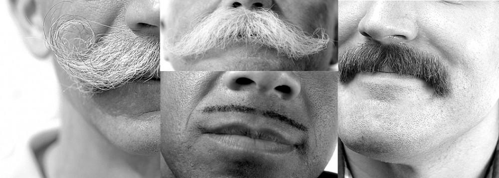 John Oates' Mustache: Back for Movember