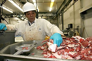 Staff member Ramon Rorey feeds beef into a grinder in the UA Meat Science Lab at the School of Agriculture and Life Sciences on Monday. 