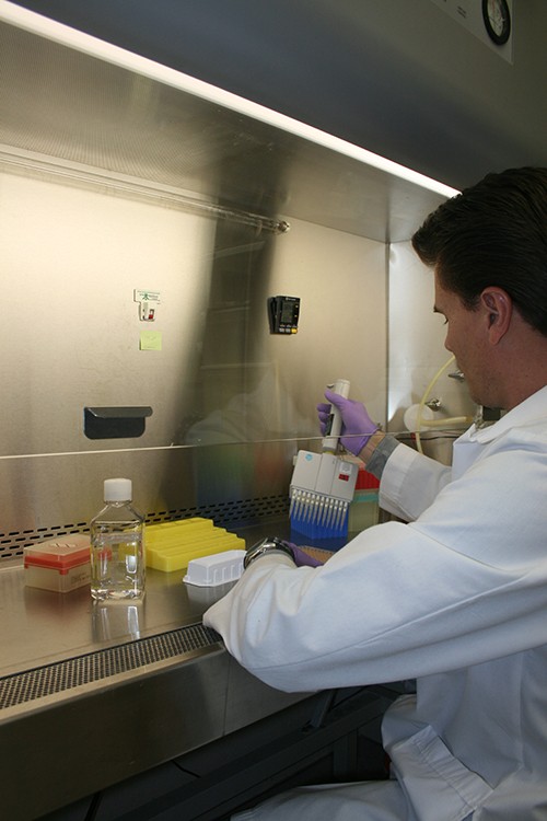 AAnnie Marum / Arizona Daily Wildcat

Research specialist Lee Wisner works in a lab at the Arizona Cancer Center at UMC Thursday. The center was awarded a $2 million gift from the Prescott-based Del E. Webb Foundation to hire a new cancer researchers and doctors at a planned Phoenix clinic. 
