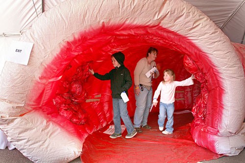 From left, Kyle Narreau and Tiesha and MJ Huthens go through a 20-foot-wide, 8-foot-high giant inflatable colon exhibition for Colorectal Cancer Awareness Month at the Arizona Cancer Center on East Allen Road and North Campbell Avenue yesterday afternoon. The attraction travels the country to raise awareness about colorectal cancer, the third-most common form of cancer. Its features serve to illuminate the risks, symptoms, prevention, early detection of and treatment options for the disease, which tend to occur in people over 50. 