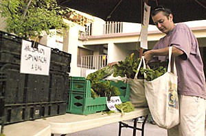 Shelly Shanti fills her bag with a weekly supply of fresh lettuce and other locally grown vegetables at the Community Supported Agriculture Farmers Market Tuesday evening.