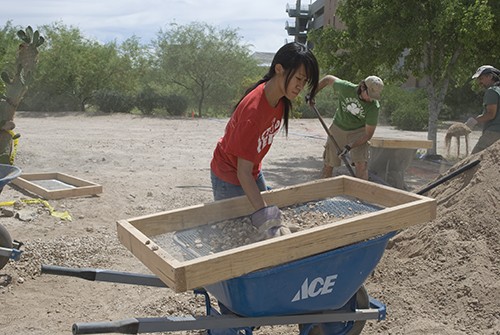 Valentina Martinelli/ Arizona Daily Wildcat

Irene Liang, a soil, water and environmental science sophomore, sifts the rocks out of the native soil to prepare for the Garden in the Desert project sponsored by Students for Sustainability at Highland and Mable on Saturday April 23, 2011. Garden in the Desert is the UAs first ever community garden and allows students to rent land and plant their own gardens.
