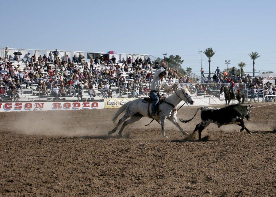 Stew McClintic / Arizona Daily Wildcat

Contestants participate in team cattle roping at Tucson Rodeo Grounds, one of the many events seen in the Tucson Rodeo on Friday, Feb. 24, 2012.