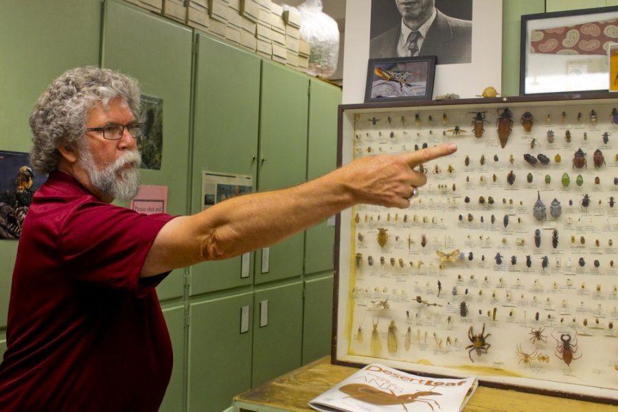 Robert Alcaraz/Arizona Summer Wildcat

Carl Olson, the University of Arizona Insect Collections associate curator, has worked in the department for the past 37 years. The collection recently received more than $2 million in grant funding, which will go toward expanding the area where the collection is housed.