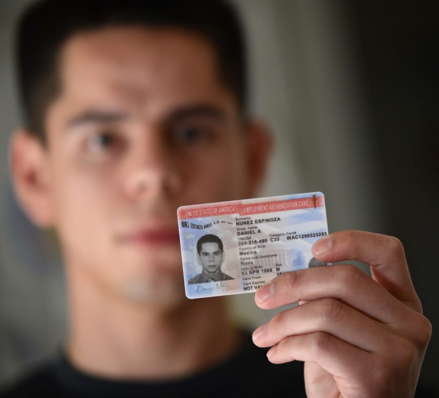 Daniel Nunez holds his United States of America Employment Authorization Card at his home in San Jose, California, on October 26, 2012. Nunez, who has worked for more than two years, has been granted deferred action status by the federal government. (Dan Honda/Contra Costa Times/MCT)