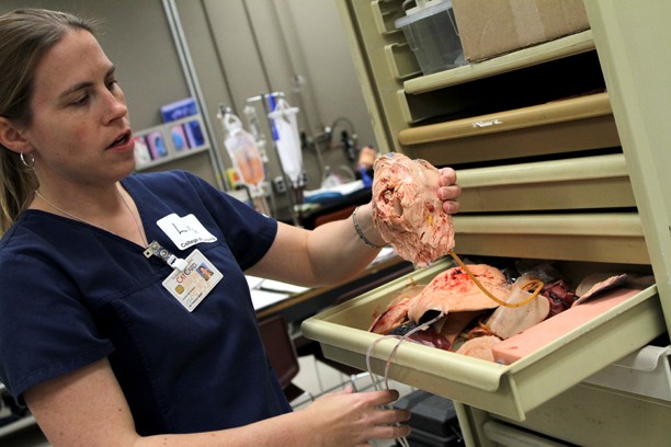 Kelsee Becker  /  Arizona Daily Wildcat

Medical Simulation Specialist Lisa Grisham shows the different injury-related tissues featured in the ASTEC Lab. The ASTEC lab have used silicone and recycled vinyl to produce their own simulation dummies.