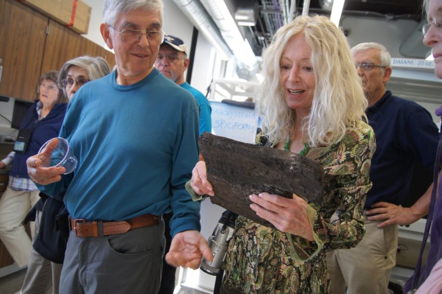 Gabriela Diaz /  Arizona Daily Wildcat

Visitors learn about some of the research being done at the UA Laboratory of Tree Ring Research.  The lab offered tours open to the public on Saturday as part of their 75th anniversary celebration and their new building opening. 