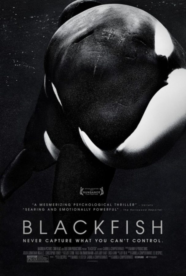 %26%238220%3BBlackfish%26%238221%3B+makes+compelling+arguments+but+falls+short+on+objectivity