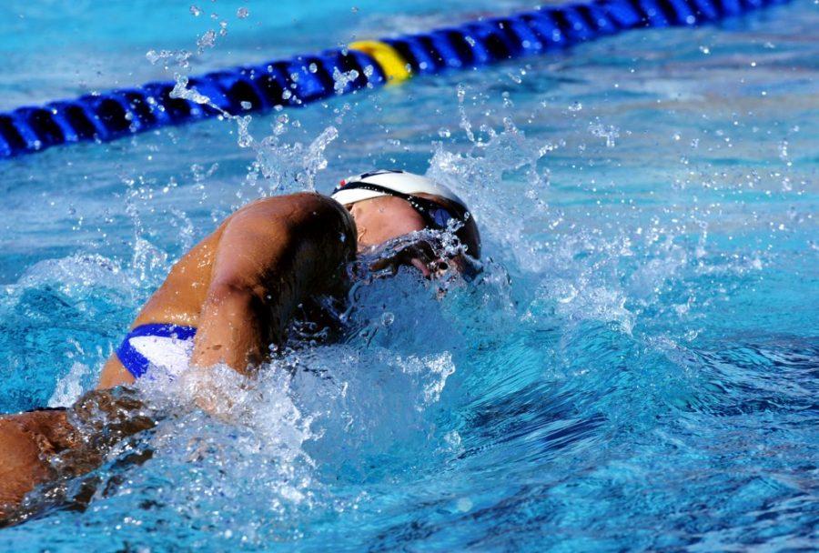 Tyler Baker / The Daily Wildcat

 UA swimmer, Margo M. Geer swims against UCLA on Friday at home.  