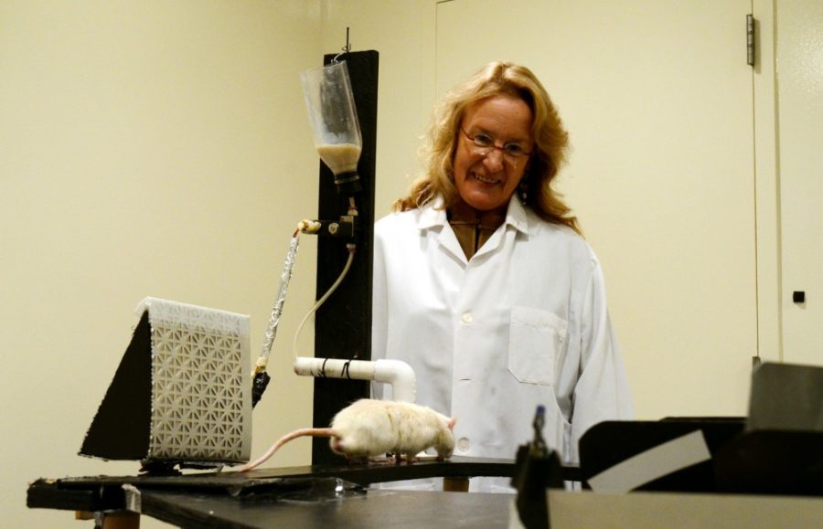 Grace Pierson /  Arizona Daily Wildcat

Carol Barnes, a Regents professor of psychology, neurology, and neuroscience at the University of Arizona has been awarded the Ralph W. Gerard Prize - the highest honor given by the Society for Neuroscience. Over the last 40 years, professor Barnes has made remarkable strides in her study of memory decline and successuful brain aging.