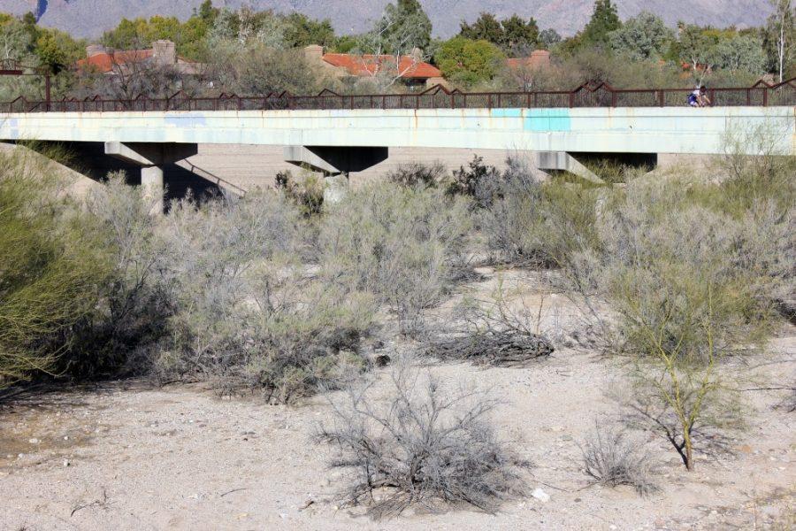 Savannah Douglas / The Daily Wildcat

The Rillito River Wash is located in Tucson, Arizona. There is a twelve mile river path that runs along the wash that has become popular for bicyclists and runners. 
