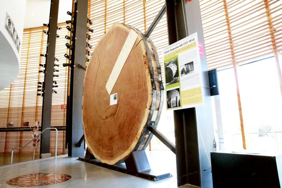 Shane Bekian / The Daily Wildcat

A piece of a 1,000-year-old giant sequoia is on display at The Bryant Bannister Tree Ring Building. The School of Earth and Environmental Sciences will be hosting EarthWeek, a four-day annual conference, which is organized entirely by graduate students.