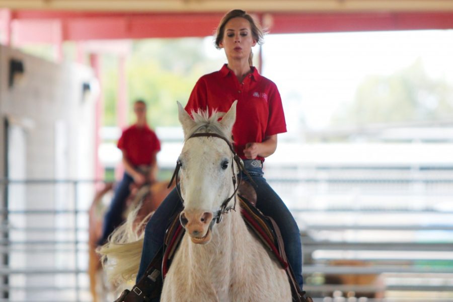 Rebecca Marie Sasnett / The Daily Wildcat

Brook Grobosky, an animal sciences sophomore, works on horsemanship patterns at the UA Equine Center on Friday. Grobosky and two other members of the UA