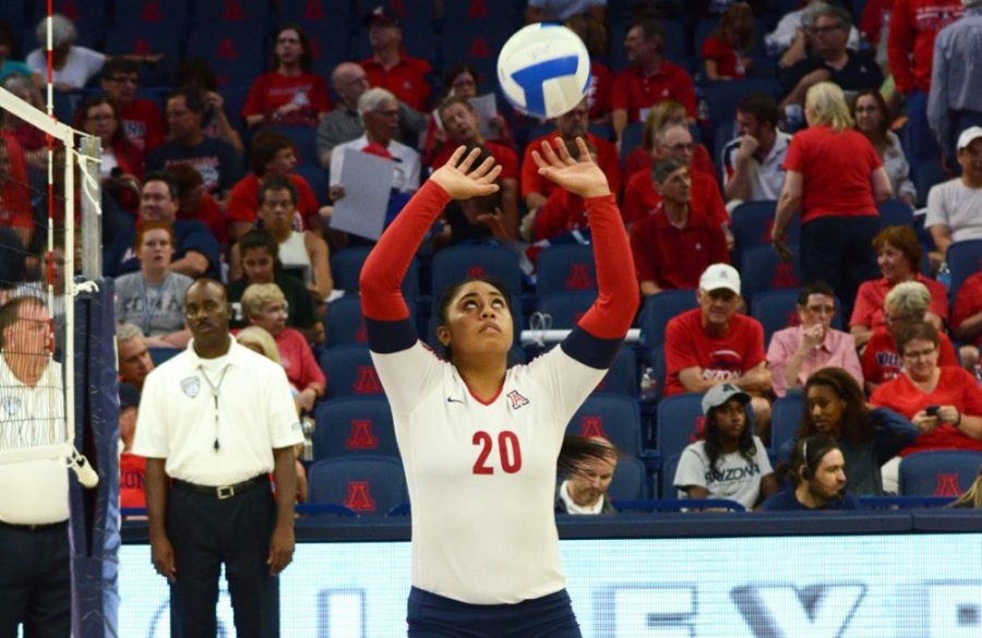 	Sophomore setter Penina Snuka (20) sets the ball during UA’s 3-0 win against Loyola University Chicago in McKale Center on Friday. Snuka is coming back from an injury and has regained her status as the team’s primary setter. 