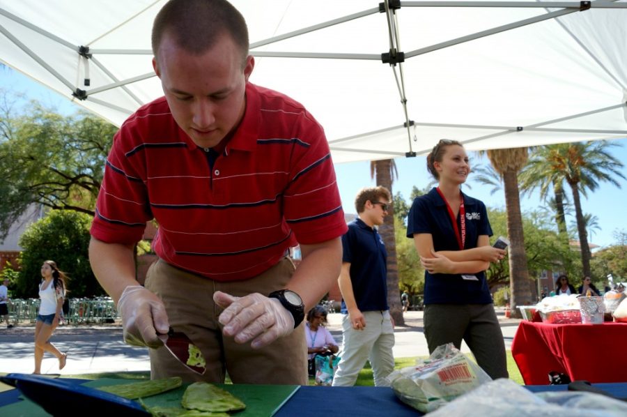 Cole Malham / The Daily Wildcat

Iron Chef, Connor Young, dicing cactus, the secret ingredient at the Iron Chef Competition at UA Food Day on Wednesday.