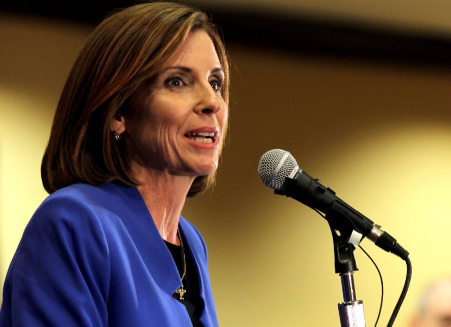 Republican Martha McSally speaks at the end of her election party at Sheraton Tucson Hotel & Suites on Nov. 4. The election results for the 2nd Congressional District between Democratic incumbent Ron Barber and McSally have not yet been determined.