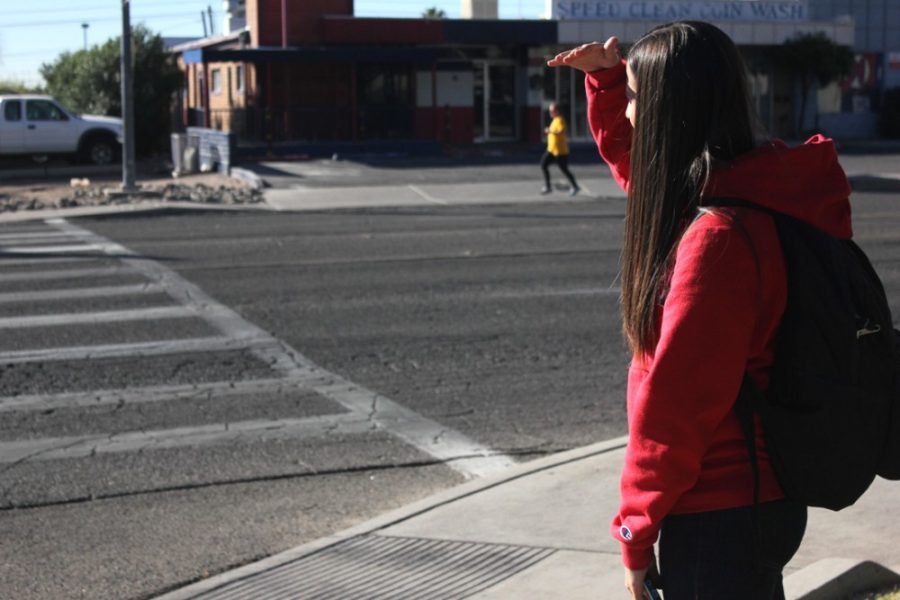 Savannah Douglas / The Daily Wildcat

Tiffany Kadlec, an early childhood education junior, stands near the unlighted crosswalk on 6th street and National Championship Drive on Tuesday morning. These crosswalks without lights cause hazardous situations as aggressive drivers ignore pedestrians. 