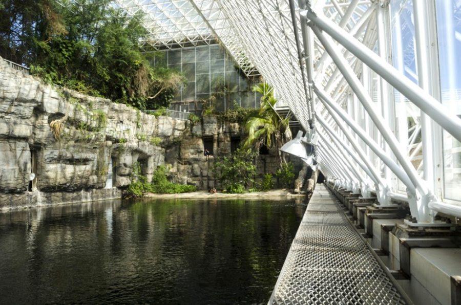 Courtesy of Alex McIntyreInside Biosphere 2 lies the ocean biome, one of seven ecosystems within the complex, on Oct. 11, 2014. The Biosphere 2 is celebrating Earth Month throughout April in honor of Earth Day.