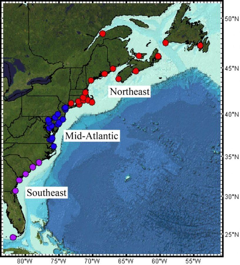 Courtesy of Paul GoddardSea level rise on the East Coast and record cold winters are negative outcomes identified from the Atlantic meridional overturning circulation slowing down. Paul Goddard, a geosciences graduate student, showed in a recent study that the Northeastern U.S. - shown in red on the map - had an unprecedented sea level rise in 2009 and 2010. 