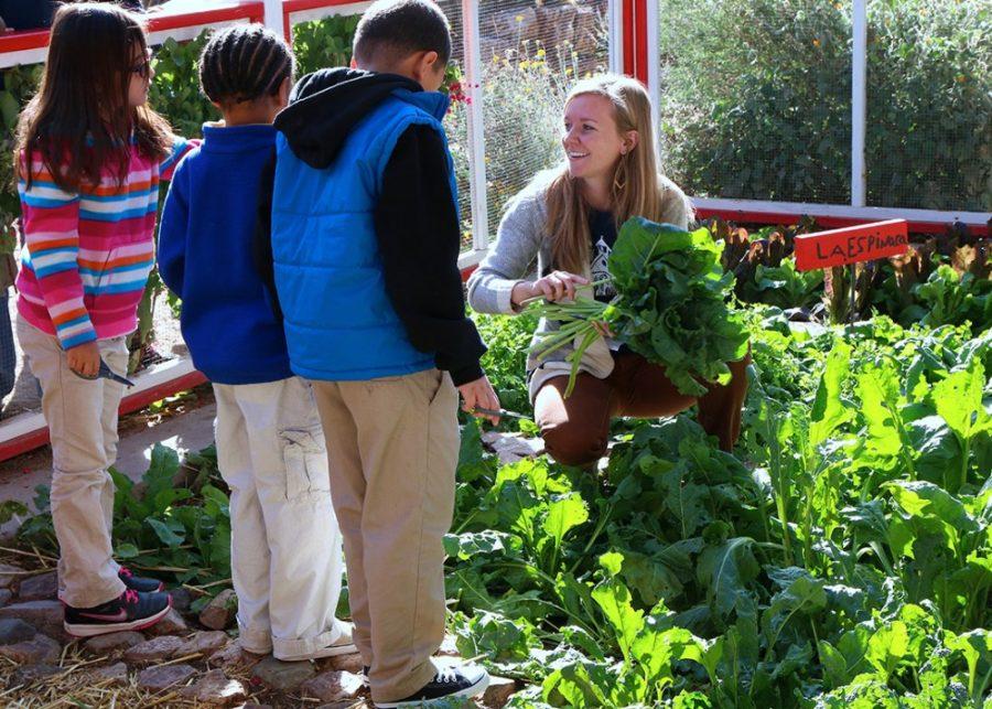 Courtesy of Moses ThompsonAbby Stoica helps students harvest greens from Manzo Elementary Schools garden. The UA Community and School Garden program is part of the UAs 100% Engagement Initiative. 