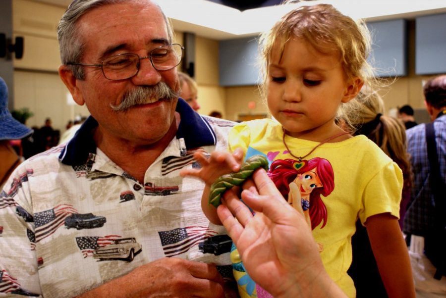 Savannah Douglas / The Daily Wildcat

Cadence Spilsbury (right) attended the Arizona Insect Festival on Sunday with her grandfather, Ron Spilsbury (left). Cadence Spilsbury was able to handle a Manduca moth. 