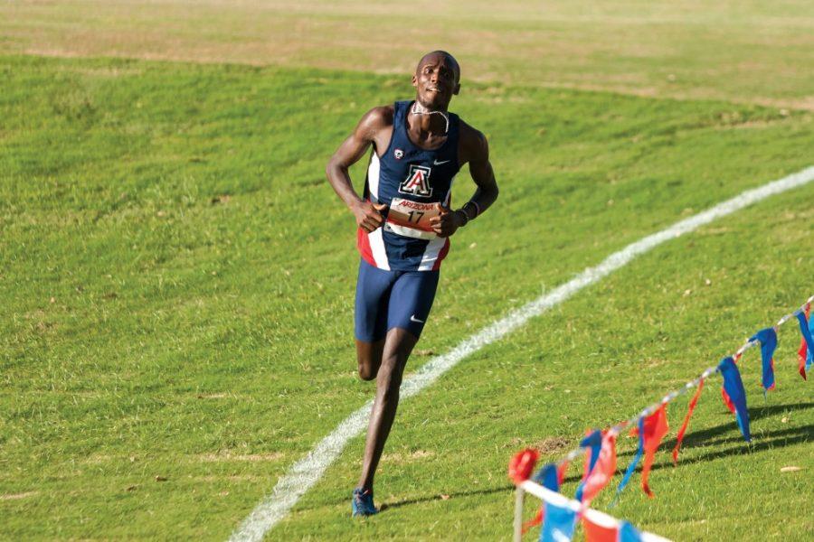 Collins Kibet (17) runs the course at the 2015 Dave Murray Invitational on Friday, Sept. 18. The junior from Kenya will compete in his third Pac-12 Cross Country Championships this week.