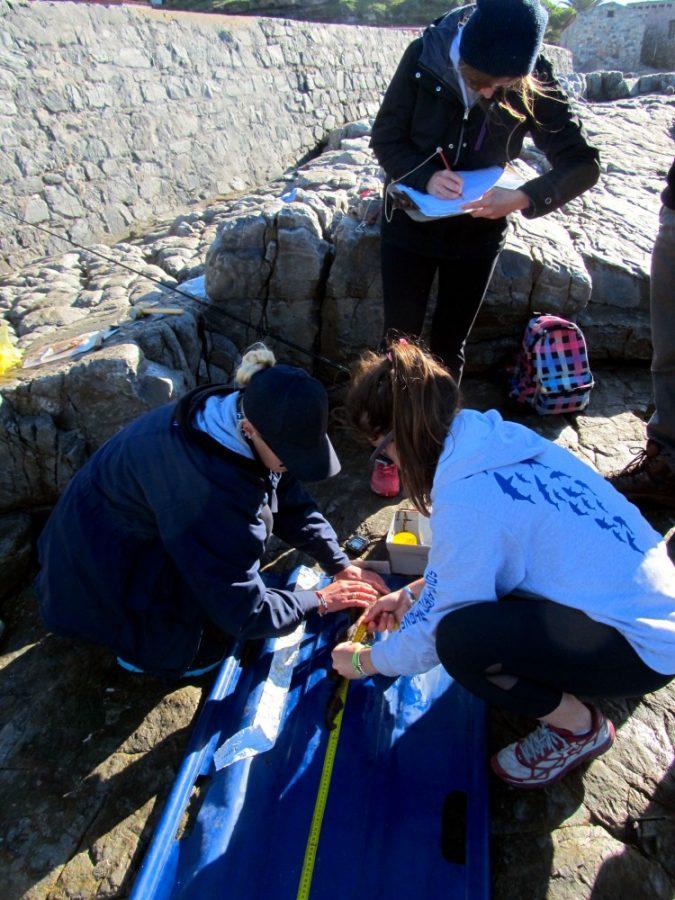 Students participating in an internship program at the South African Shark Conservancy in July 2015. Internships like those at SASC can help students get real-world experience and improve their chances of being admitted to graduate programs.