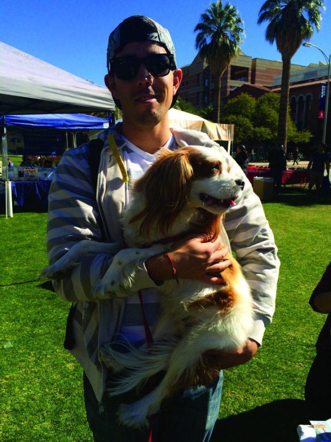 Finnegan, a 2-year-old Cavalier King Charles Spaniel is held by his owner, David Shahnooshi, on the UA Mall during the farmers market. Finnegan loves to dress up, he even has a large selection of bow ties