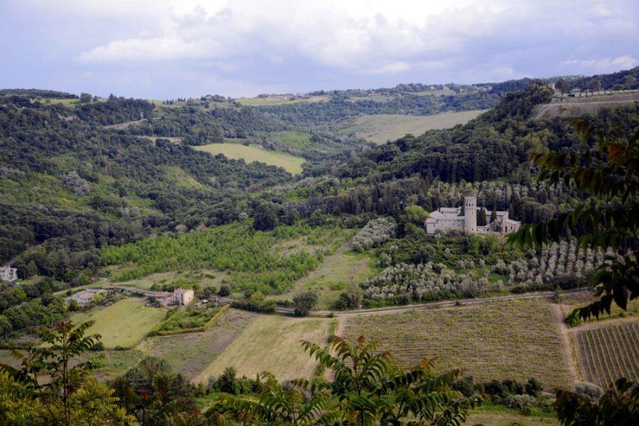 A view of the rolling hills of Umbria, Italy from the cliffside of Orvieto, Italy. Arizona in Italy is one of the eight Italy study abroad programs offered at the UA.
