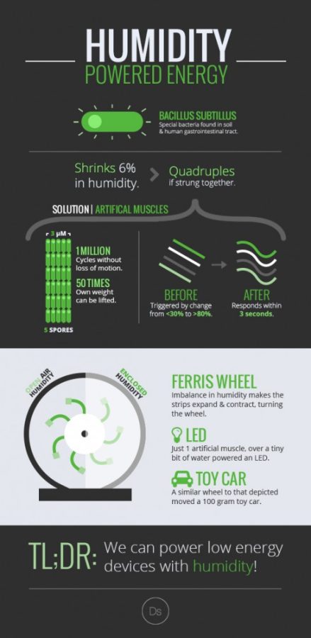 A Draw Science infographic explaining humidity-powered energy. Draw Science founder Viputheshwar Sitaraman is a senior studying molecular and cellular biology.