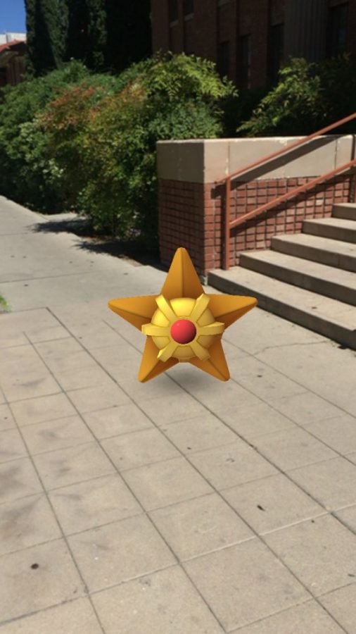 Screenshot of a sighted Staryu in the Pokemon GO app on Tuesday, July 12 on the UA campus. 