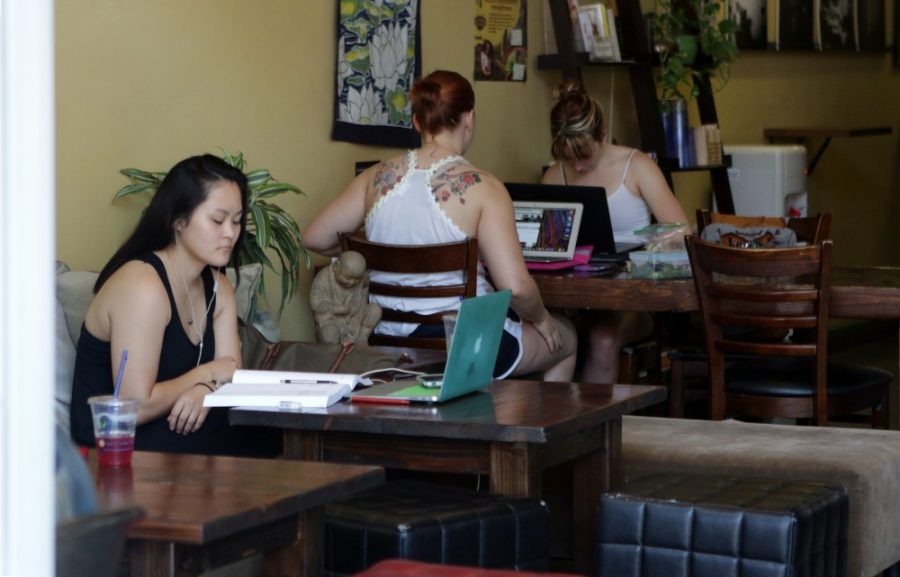 Students study at the Scented Leaf in Tucson, Arizona. on Wednesdsy, Aug. 24. Art History major Halley Becker (back left) and neuroscience major Jessica Bruster (back right) are regulars at The Scented Leaf because of the relaxed atmosphere.
