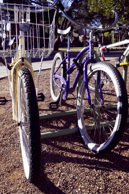 A new bicycle program was created in Ajo, Arizona as a result of a partnership between the UA College of Public Health and the UA Department of Mexican-American Studies. The program provides bikes and safety classes to Ajo.