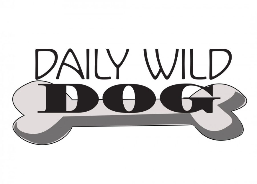 The Daily Wild Dog