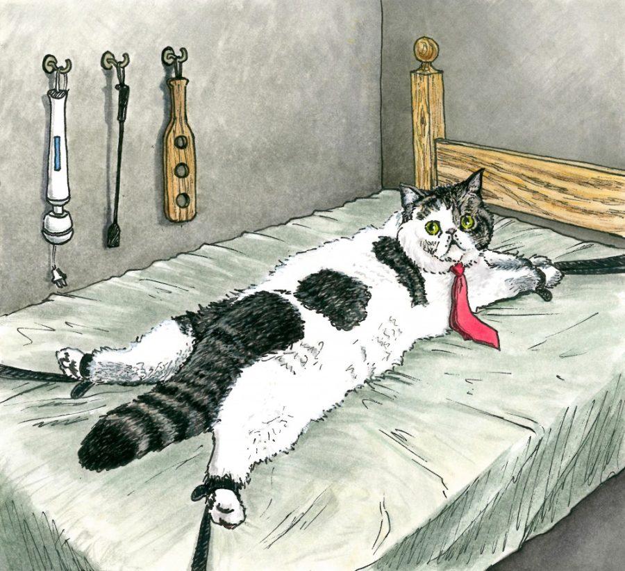 Illustration by Kelsey Beyer. The Lesbian Sex Haiku Book (with Cats!), written by UA alumna Anna Pulley, features over 150 of Pulleys haikus centering around how two girls make love and fall in love.