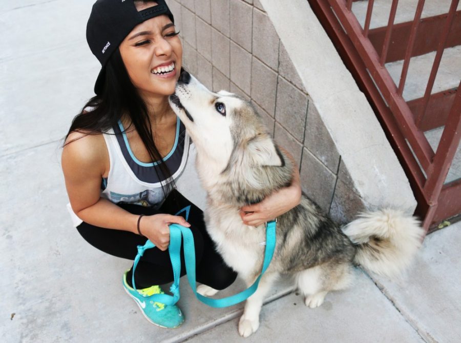 Kelly+Kayla+Nguyen%2C+a+junior+in+Care%2C+Health%2C+and+Society%2C+walks+her+dog+Luna+on+Jan.+27.+Dogs+are+becoming+more+common+on+college+campuses+for+their+therapeutic+benefits.