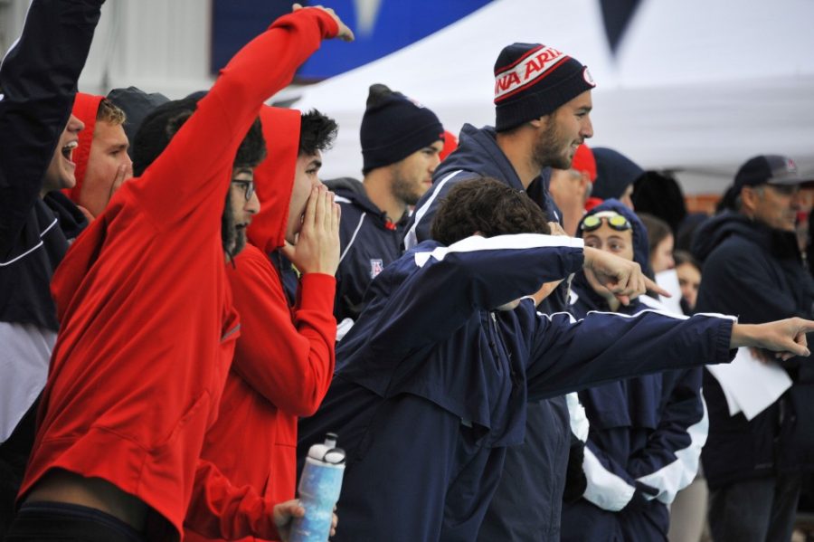 Members of the UA Mens Swimming and Diving team cheer on their teammates during their meet with California on Jan 20.