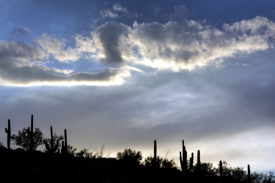 Saguaro+cacti%2C+ocotillo+and+mesquite+trees+dot+a+ridgeline+in+the+Pusch+Ridge+Wilderness+near+Tucson%2C+Ariz.+on+Tuesday%2C+Feb.+14.+%28Alex+McIntyre%2FThe+Daily+Wildcat%29