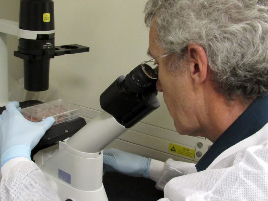 Dr. Thomas Doetschman, Ph.D., examines the embryonic cells used to study and implant mutated and disease genes; if the mutated gene successfully imbeds itself into a sperm or egg cell, the resulting rat that is born will be studied to research the effects of that same disease genes in humans. CRISPR CAS9 is technology that allows the splicing of genes to both remove and replace particular DNA strands. CRISPR can affect either just the patient or his descendants as well, depending on the technique used. 