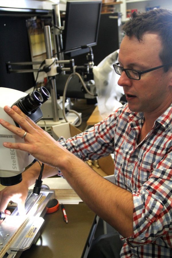 Kevin Anchukaitis examines one of the samples and describes the significance of each ring. Tree ring growth patterns can inform researchers of climate conditions over time.