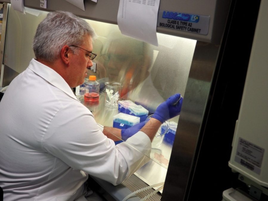 Research assistant professor Adam Buntzman performs an experiment relating to valley fever in the BIO5 Institute in October 2016.
