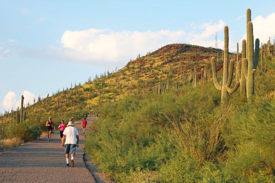 People hike up Tumamoc Hill on Sept. 4. Hours for the popular hiking trail are now 4 a.m. to 10 p.m.
