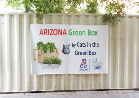 The Arizona Green Box provides a controlled environment to grow crops in and can be used anywhere in the world. The interior is insulated and equipped with a cooling system to prevent overheating.