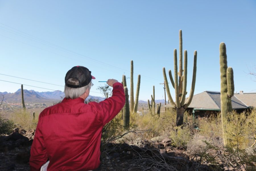 Paul Mirocha, the artist-in-residence at Tumamoc Hill examines a saguaro cactus that he is sketching out for a class he is going to teach later. Mirocha collaborates with scientists at Tumamoc to create nature-inspired artwork. 
